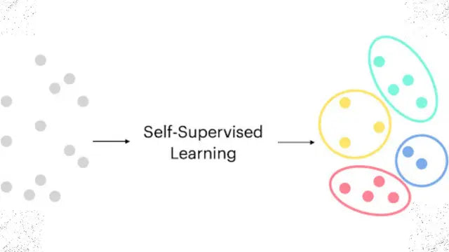The Surprising Benefits of Self-Supervised Learning for Developers